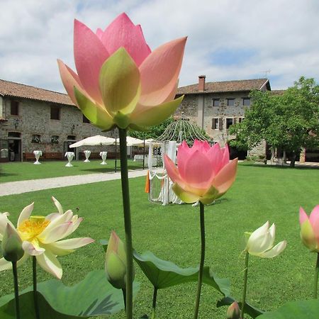 Agriturismo Il Vagabondo Buttrio Ngoại thất bức ảnh