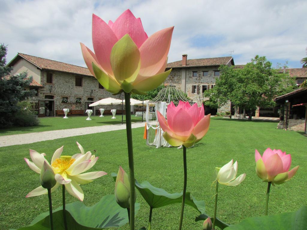 Agriturismo Il Vagabondo Buttrio Ngoại thất bức ảnh